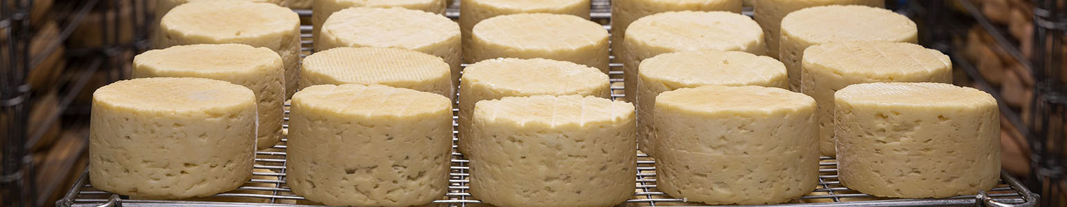 Formaggi e latticini Formaggi e latticini