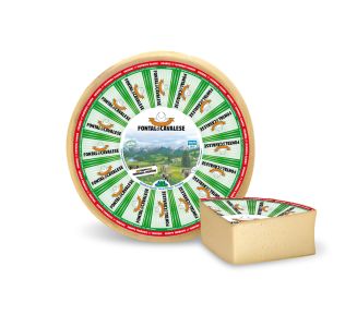 Product image TREFONCAV1-01-7416cd3a-6e62-4eea-a46e-30177ecbaecc - Tue Aug 08 2023 16:41:00 GMT+0200 (Central European Summer Time)