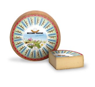 Product image TREMEZZ1-01-524f70d4-8e52-480c-88da-cf7cce95342c - Tue Aug 08 2023 16:43:04 GMT+0200 (Central European Summer Time)