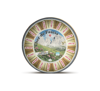 Product image TRECUFAS1-01-f0d1c648-2819-41aa-844a-bc385ca25793 - Tue Aug 08 2023 16:42:55 GMT+0200 (Central European Summer Time)